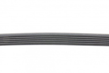 Приводной ремень генератора continental 6PK1264