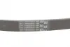 Ремень поликлиновой (Пр-во ContiTech) continental 6PK1264