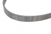 Ремень поликлиновой (Пр-во ContiTech) continental 6PK1264