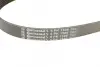Ремень поликлиновой (Пр-во ContiTech) continental 6PK1306