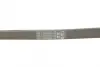 Ремень поликлиновой (Пр-во ContiTech) continental 6PK1310