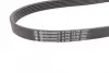 Ремень поликлиновой (Пр-во ContiTech) continental 6PK1318