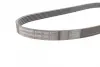 Ремень поликлиновой (Пр-во ContiTech) continental 6PK1352