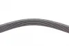 Ремень поликлиновой (Пр-во ContiTech) continental 6PK1352
