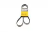 Ремень поликлиновой (Пр-во ContiTech) continental 6 PK 1432