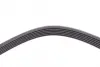Ремень поликлиновой (Пр-во ContiTech) continental 6 PK 1460