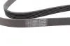 Ремень поликлиновой (Пр-во ContiTech) continental 6PK1510