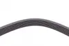 Ремень поликлиновой (Пр-во ContiTech) continental 6 PK 1520