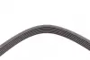 Ремень поликлиновой (Пр-во ContiTech) continental 6PK1538