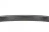 Ремень поликлиновой (Пр-во ContiTech) continental 6 PK 1548