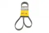 Ремень поликлиновой (Пр-во ContiTech) continental 6 PK 1548