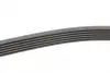 Ремень поликлиновой (Пр-во ContiTech) continental 6 PK 1555
