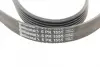Ремень поликлиновой (Пр-во ContiTech) continental 6 PK 1555