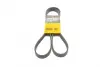 Ремень поликлиновой (Пр-во ContiTech) continental 6 PK 1555