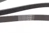 Ремень поликлиновой (Пр-во ContiTech) continental 6 PK 1560