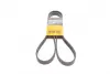 Ремень поликлиновой (Пр-во ContiTech) continental 6 PK 1560