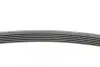 Ремень поликлиновой (Пр-во ContiTech) continental 6PK1564