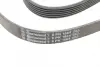 Ремень поликлиновой (Пр-во ContiTech) continental 6PK1564