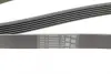 Ремень поликлиновой (Пр-во ContiTech) continental 6PK1564