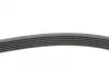 Ремень поликлиновой (Пр-во ContiTech) continental 6 PK 1590