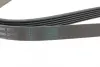 Ремень поликлиновой (Пр-во ContiTech) continental 6 PK 1590