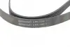 Ремень поликлиновой (Пр-во ContiTech) continental 6 PK 1590