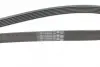 Ремень поликлиновой (Пр-во ContiTech) continental 6PK1600