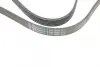Ремень поликлиновой (Пр-во ContiTech) continental 6PK1600