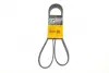 Ремень поликлиновой (Пр-во ContiTech) continental 6PK1600