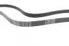 Ремень поликлиновой (Пр-во ContiTech) continental 6 PK 1613