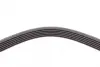 Ремень поликлиновой (Пр-во ContiTech) continental 6 PK 1613