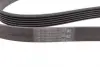 Ремень поликлиновой (Пр-во ContiTech) continental 6 PK 1623