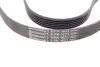 Ремень поликлиновой (Пр-во ContiTech) continental 6 PK 1623