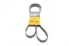 Ремень поликлиновой (Пр-во ContiTech) continental 6 PK 1623