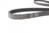 Ремень поликлиновой (Пр-во ContiTech) continental 6PK1635