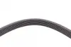 Ремень поликлиновой (Пр-во ContiTech) continental 6PK1635