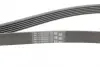 Ремень поликлиновой (Пр-во ContiTech) continental 6 PK 1660