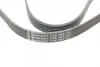 Ремень поликлиновой (Пр-во ContiTech) continental 6 PK 1660