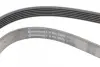 Ремень поликлиновой (Пр-во ContiTech) continental 6PK1675