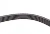 Ремень поликлиновой (Пр-во ContiTech) continental 6PK1685