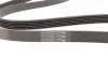 Ремень поликлиновой (Пр-во ContiTech) continental 6PK1693