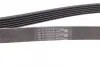Ремень поликлиновой (Пр-во ContiTech) continental 6PK1698