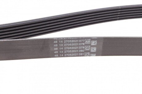 Привідний ремінь генератора continental 6PK1698