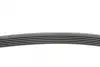 Ремень поликлиновой (Пр-во ContiTech) continental 6PK1705