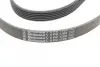 Ремень поликлиновой (Пр-во ContiTech) continental 6PK1705