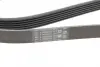 Ремень поликлиновой (Пр-во ContiTech) continental 6PK1705