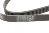 Ремень поликлиновой (Пр-во ContiTech) continental 6PK1715