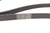Ремень поликлиновой (Пр-во ContiTech) continental 6 PK 1733