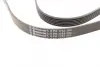 Ремень поликлиновой (Пр-во ContiTech) continental 6 PK 1733