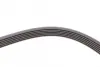 Ремень поликлиновой (Пр-во ContiTech) continental 6 PK 1733